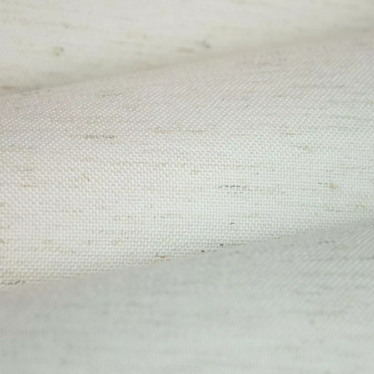 celestial-eggshell Celestial Eggshell