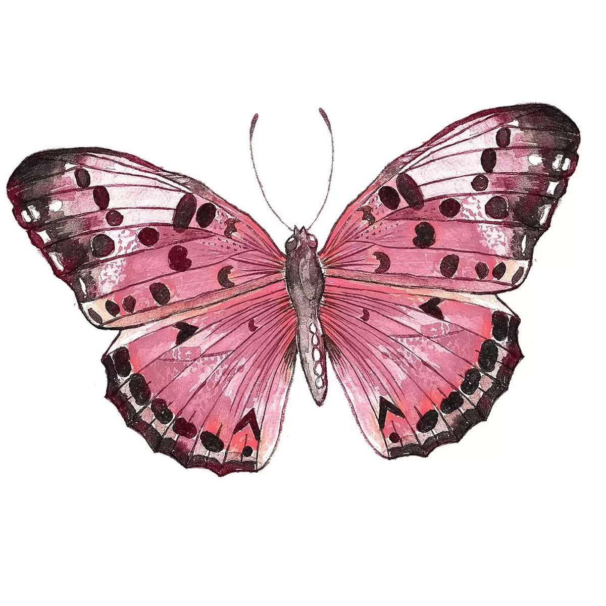 Champagne & Burgundy Butterfly Fabric Panel Variation 1
