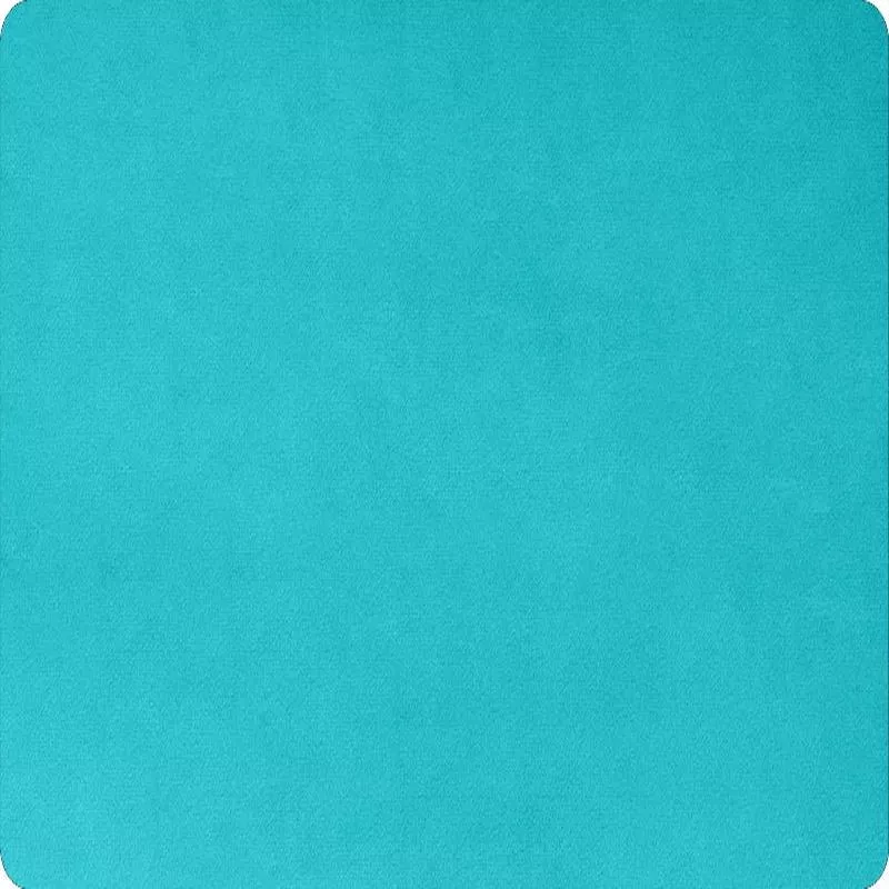 Fabric Shannon Belize 90″ Extra Wide Solid Cuddle 3 by the Quarter Yard C390-BELIZE