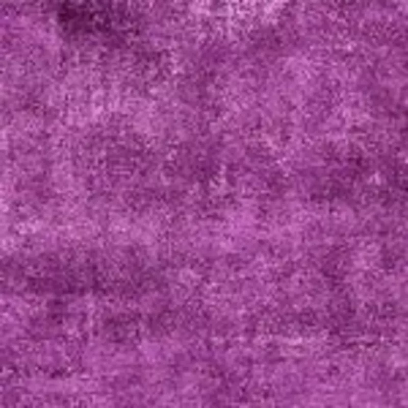 Fresco // Violet