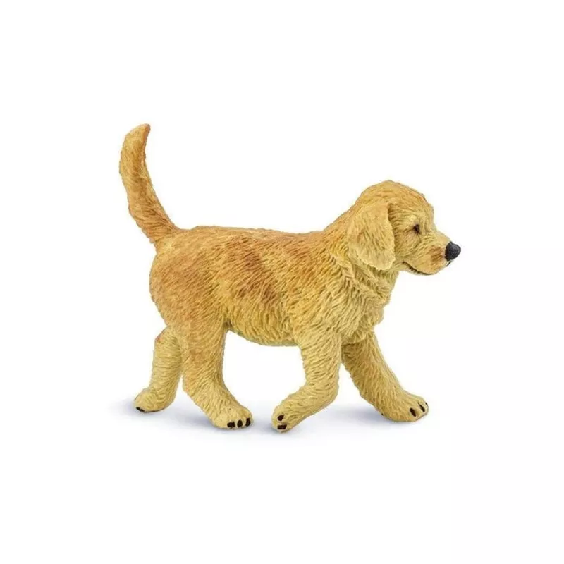 golden-retriever-puppy-253229 Golden Retriever Puppy 253229