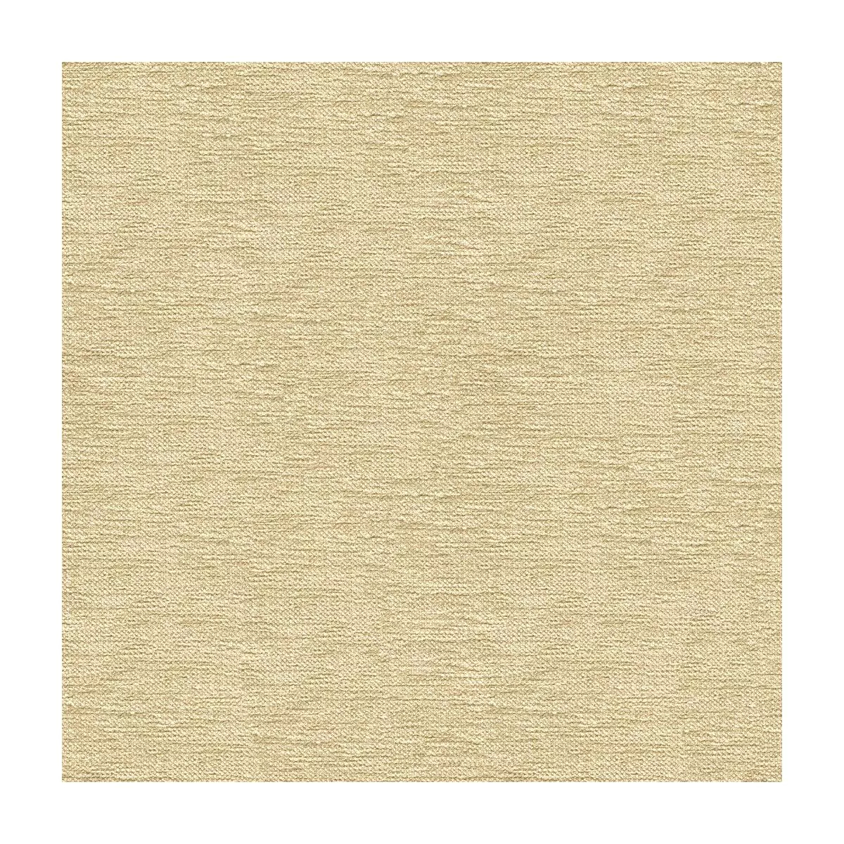 Kravet Smart 33831-1116 Fabric