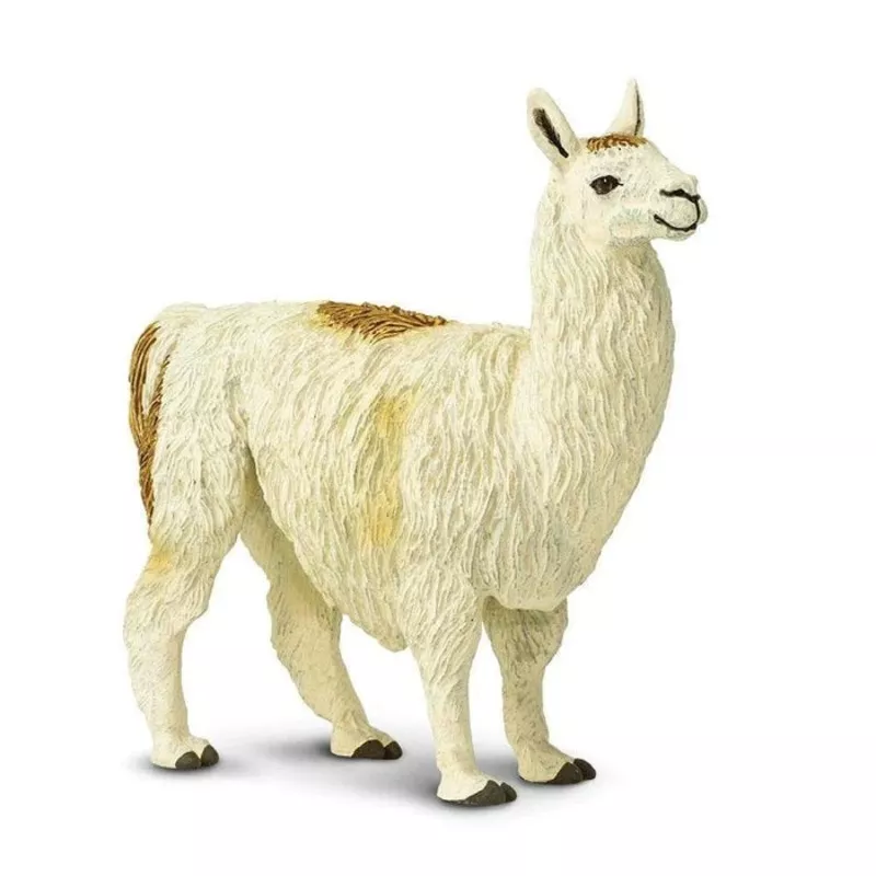 llama-227429 Llama 227429