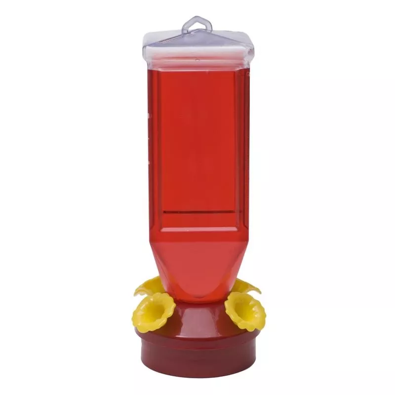 plastic-lantern-hummingbird-feeder-201 Plastic Lantern Hummingbird Feeder 201