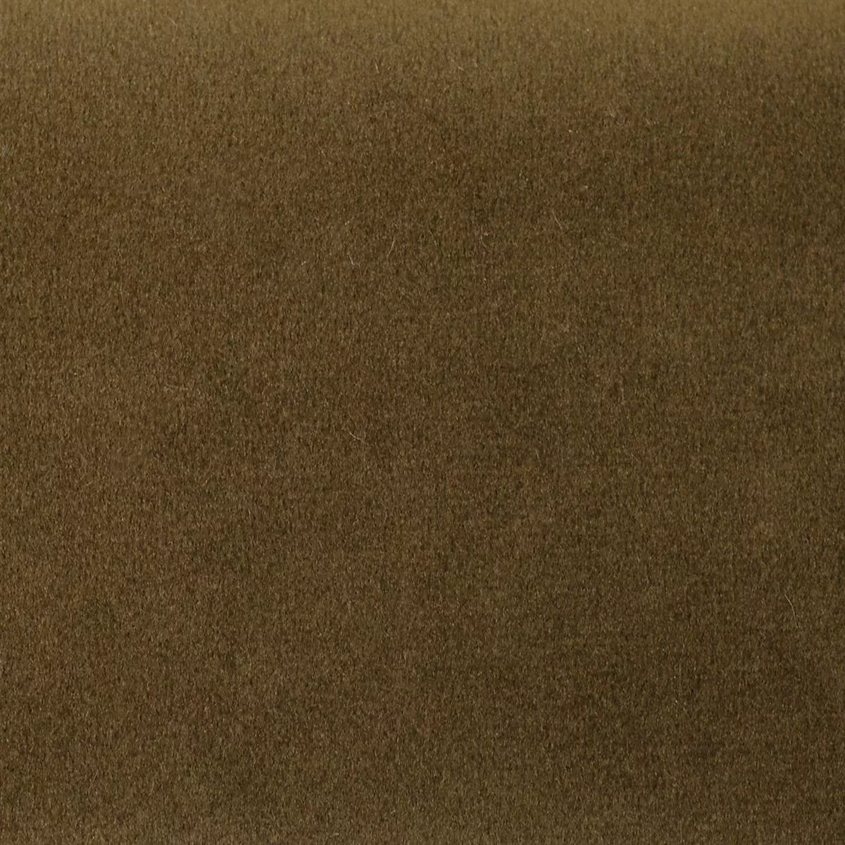 Safety Velvet – Bison by Scalamandre Fabric