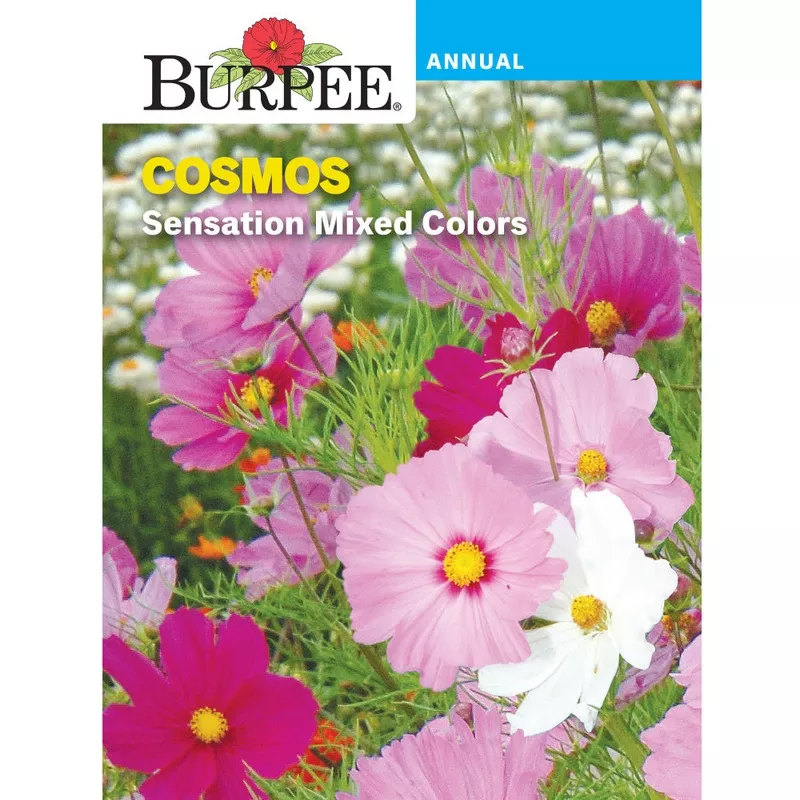 sensation-cosmos-flower-seed-pack-43646 Sensation Cosmos Flower Seed Pack 43646