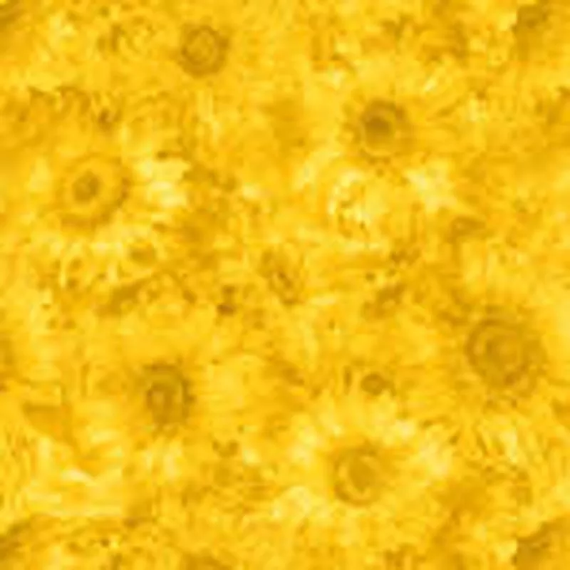 Slice Of Sunshine