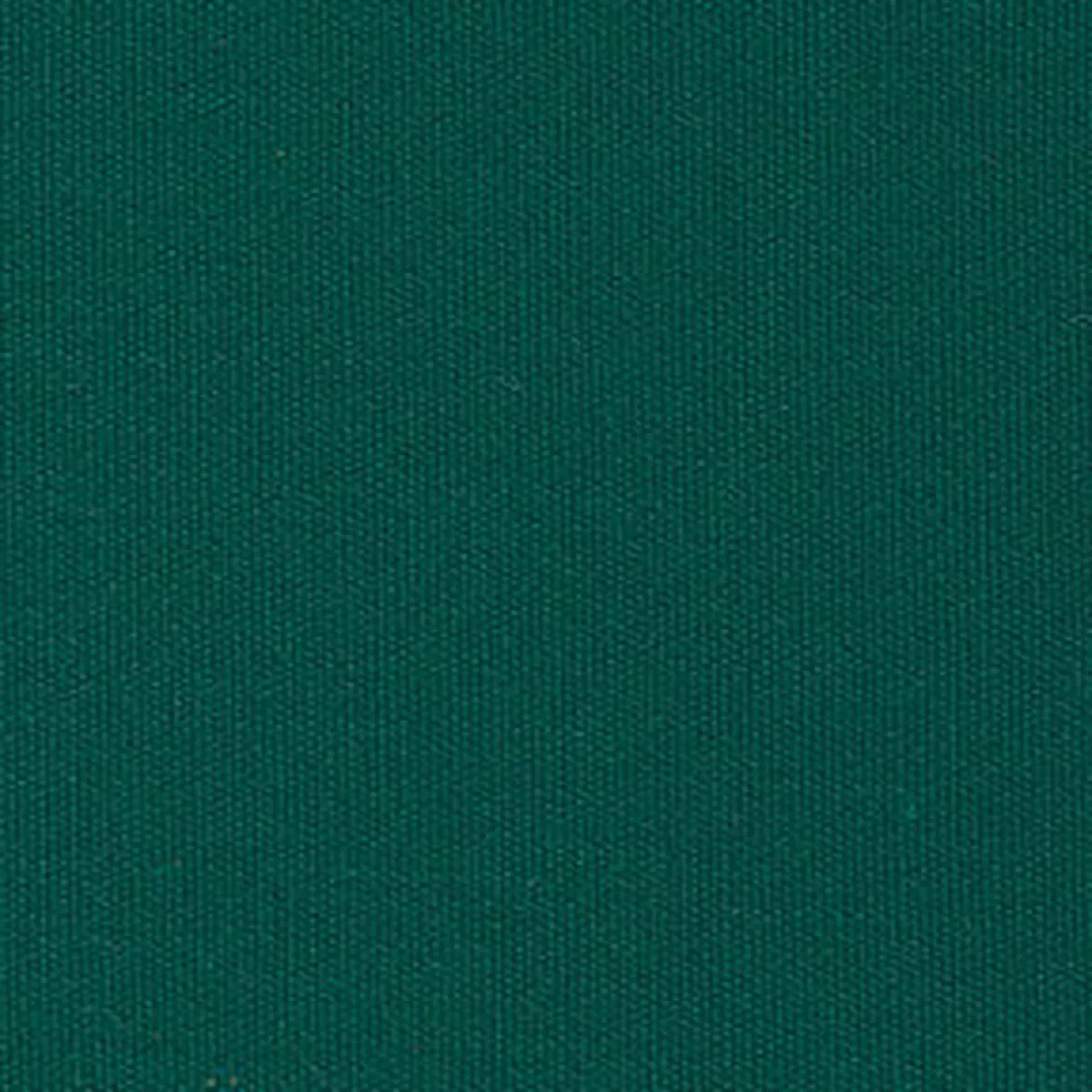 Sunbr 608221 6000 Erin Green Fabric